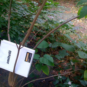 I'm violating Park regulations! Hooray!