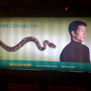 THERE IS A SNAKE BEHIND YOU LOOK OUT