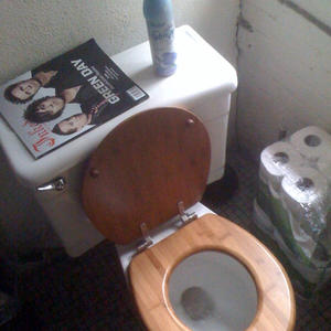 Ladies and gentlemen, Morgan Spurlock's toilet.