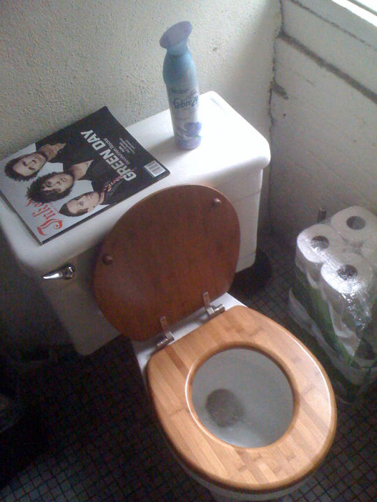 Ladies and gentlemen, Morgan Spurlock's toilet.