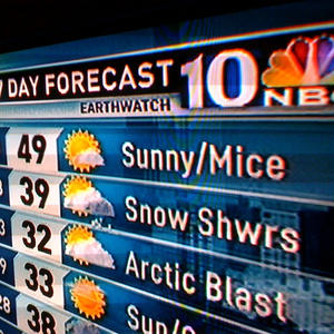 So, we should expect a biblical plague tomorrow?