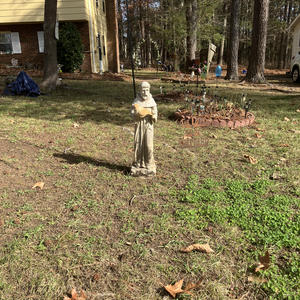 That’sa pretty big bird!