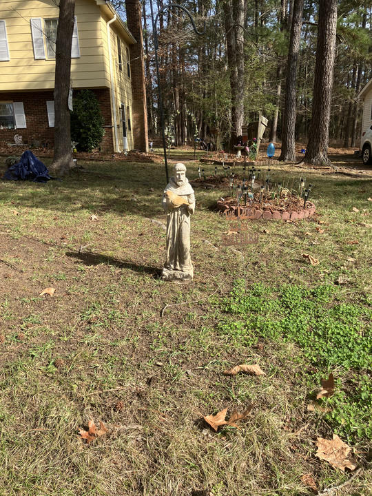 That’sa pretty big bird!