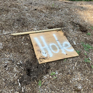 Hole