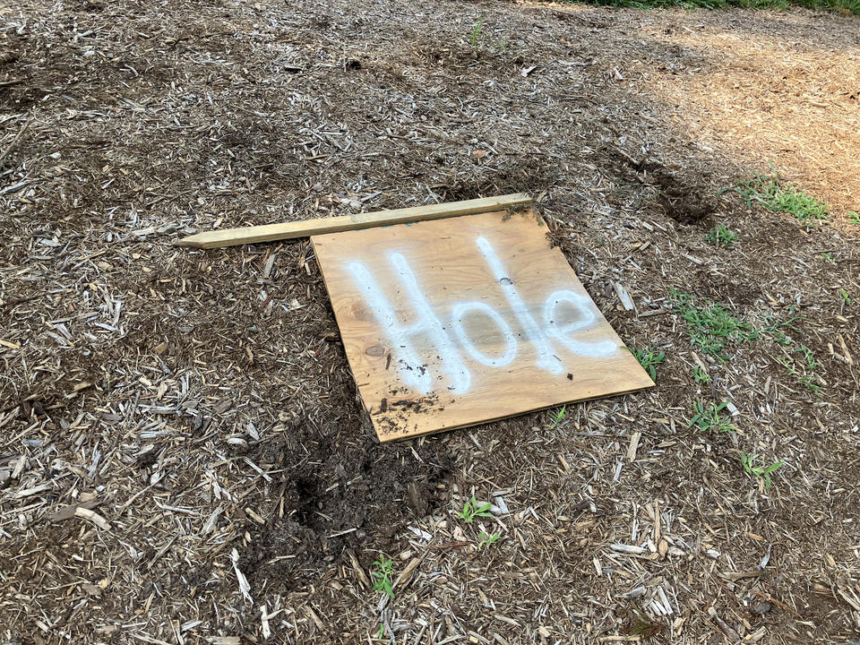 Hole