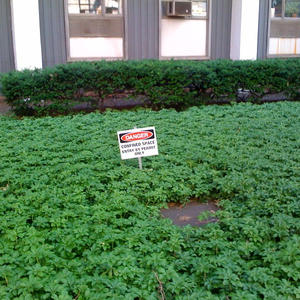 Confined Space