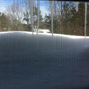 Well, let me just look out the window and... Never mind.