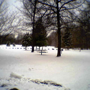 A bloody bone-numbing winter wonderland.