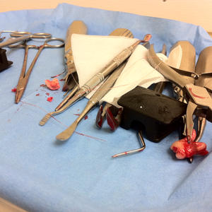 The contents of my head...