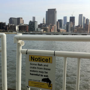 New York, New York.