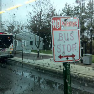 I call this one "Majesty of New Jersey."