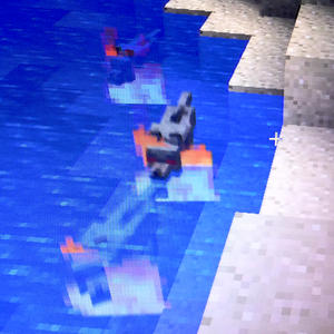 Three angry wolves. In water. On fire.