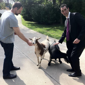 GOATS