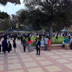 O hai UCLA...