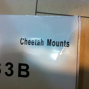 Finally! I can mount my cheetah!