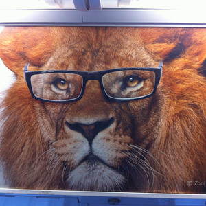Photoshopping things where they do not belong for thousands of generations.