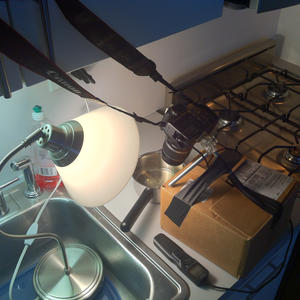 It's science day!