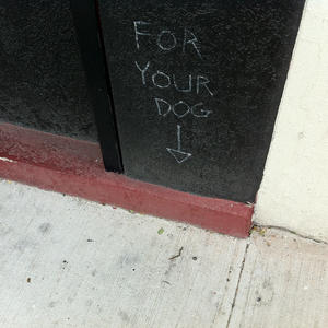 For Your Dog