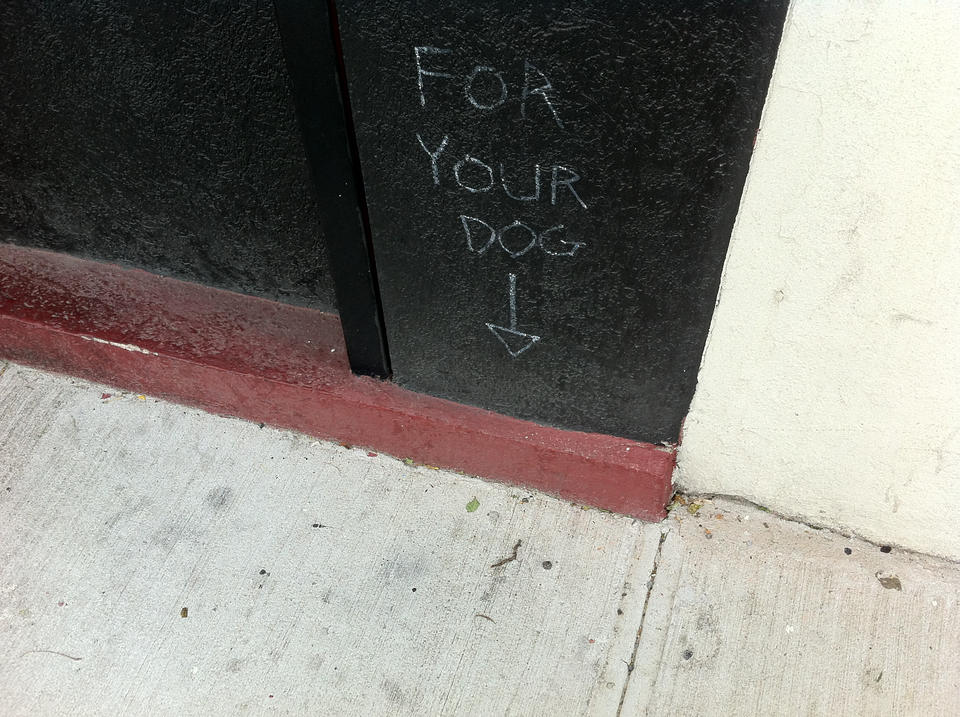For Your Dog
