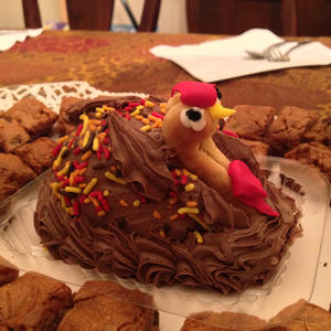 Dinner Bird