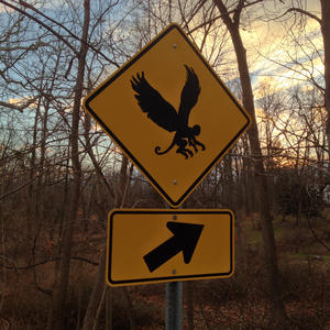 Watch for Flying Monkeys
