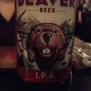 He eagerly watches you as you drink.