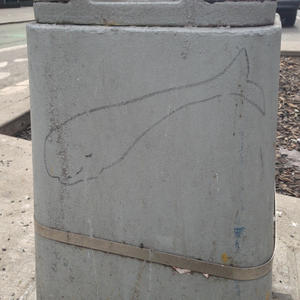 Whale