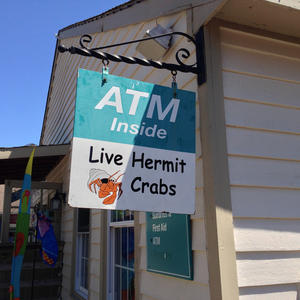 ATM/live hermit crabs