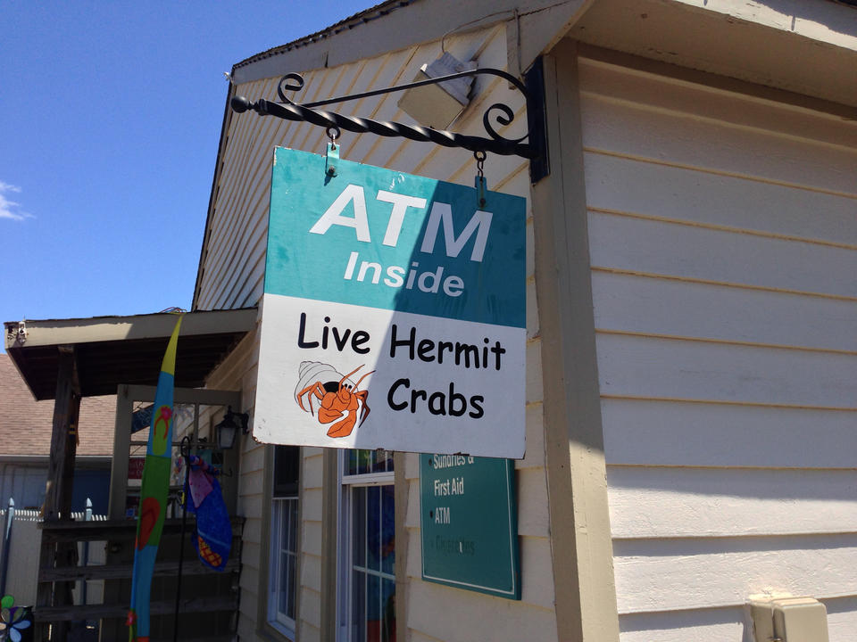 ATM/live hermit crabs