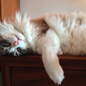 Sleep Mode