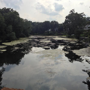 New Jersey's Alright!