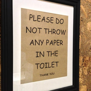 Does this include toilet paper?
