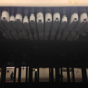 Train Bones
