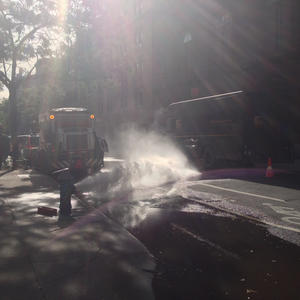 Hydrant Morning