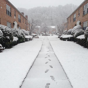 The Scene This Morning