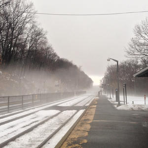 The Scene This Morning