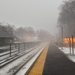 The Scene This Morning 2