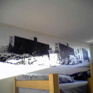 Everybody says my poster of the dorms is depressing. I kinda like it...