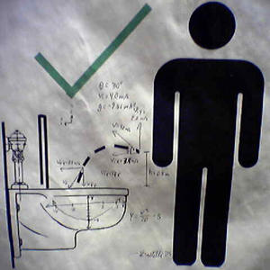 Toilet physics