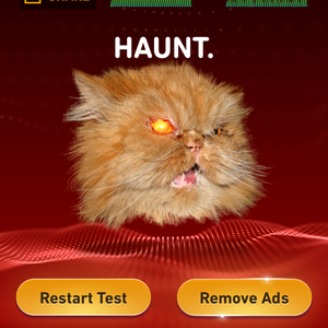 HAUNT.
