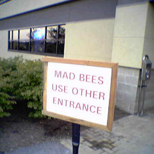 I get a strange feeling of security from reading that.