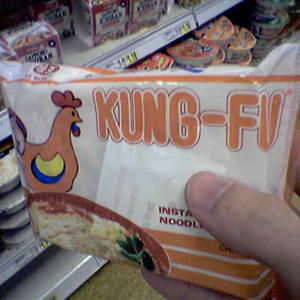 Kung Fu chicken
