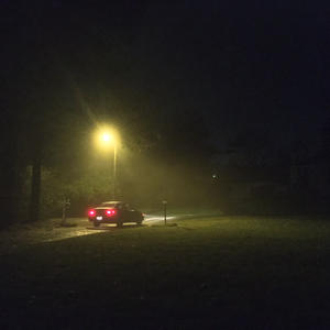 Fog Night