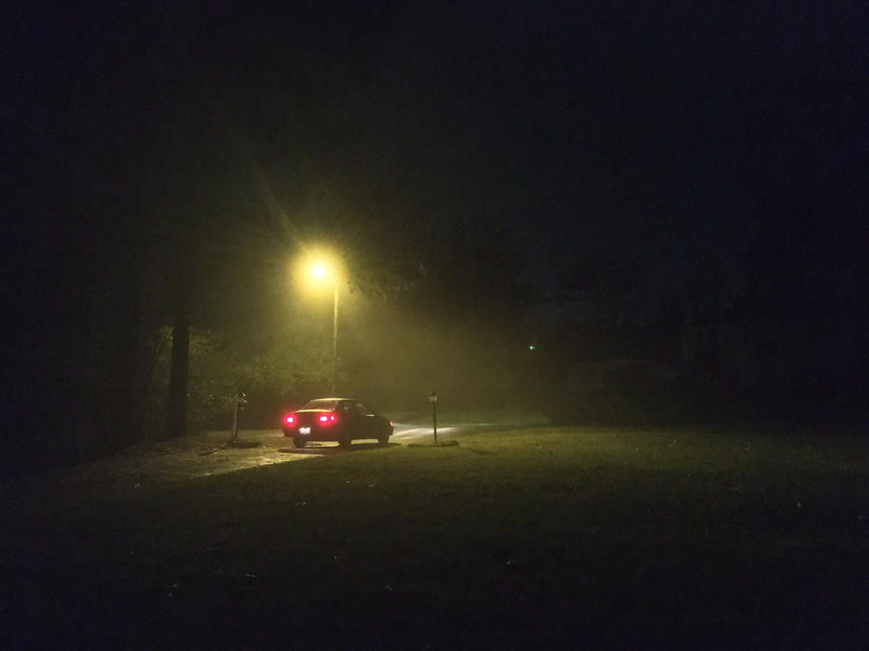 Fog Night