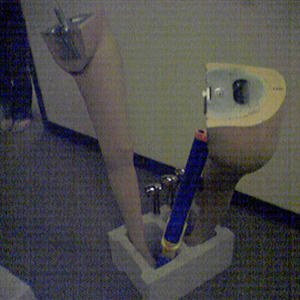 Getting a leg up in the world of art...