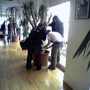 Tree Trouble: "Add more sandbags!"