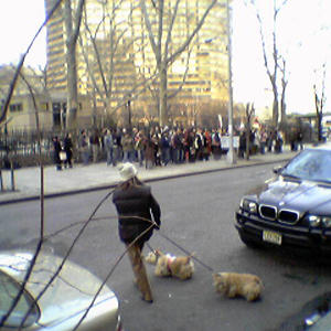 I wasn't even aware Tibet was in need of freeing.