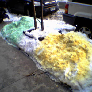 I remember the rule about yellow snow, but what about this?