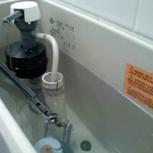 I imagine this is as close as I'll ever get to staring into the human brain.