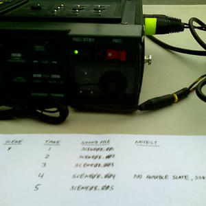 Marginal Professionalism